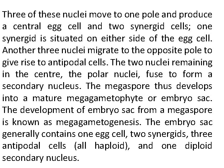 Three of these nuclei move to one pole and produce a central egg cell