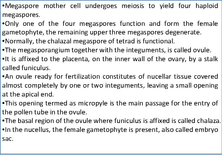  • Megaspore mother cell undergoes meiosis to yield four haploid megaspores. • Only
