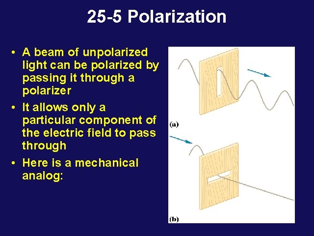 25 -5 Polarization • A beam of unpolarized light can be polarized by passing