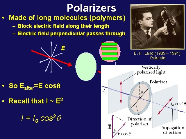 Polarizers • Made of long molecules (polymers) – Block electric field along their length