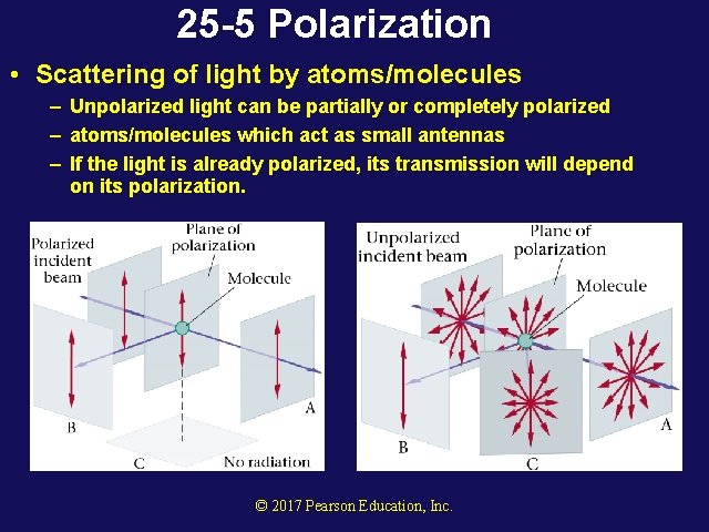 25 -5 Polarization • Scattering of light by atoms/molecules – Unpolarized light can be