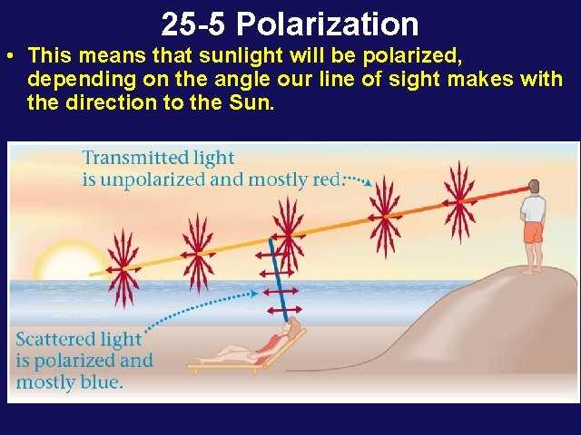 25 -5 Polarization • This means that sunlight will be polarized, depending on the