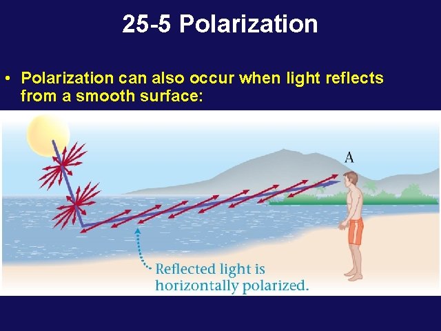 25 -5 Polarization • Polarization can also occur when light reflects from a smooth