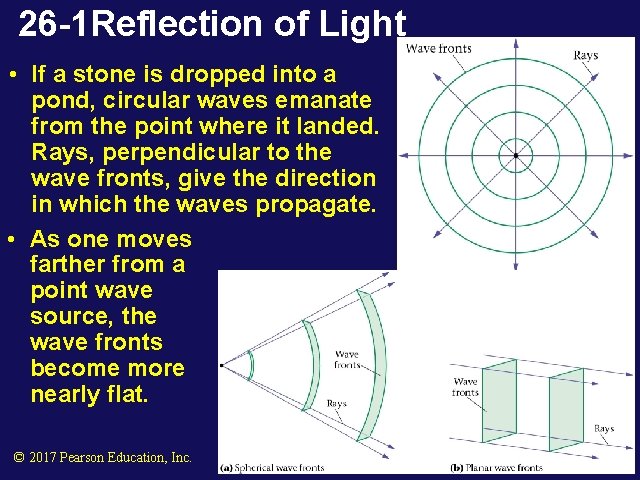 26 -1 Reflection of Light • If a stone is dropped into a pond,