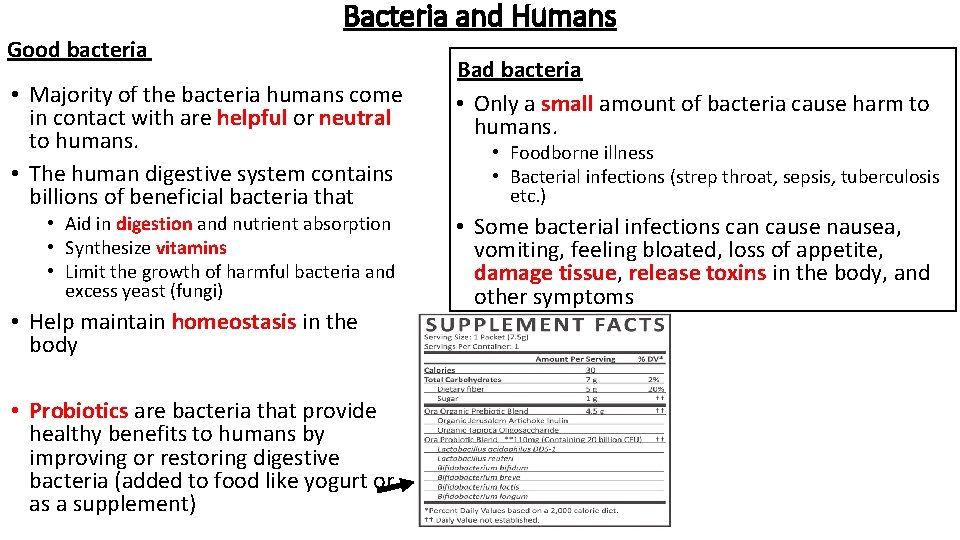 Good bacteria Bacteria and Humans • Majority of the bacteria humans come in contact