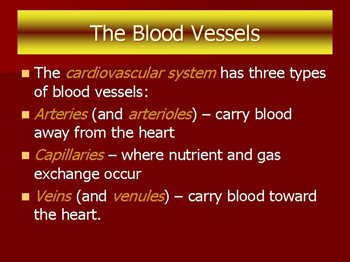 The Blood Vessels n The cardiovascular system has three types of blood vessels: n