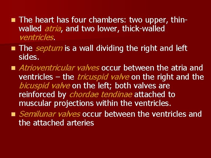 n n The heart has four chambers: two upper, thinwalled atria, and two lower,