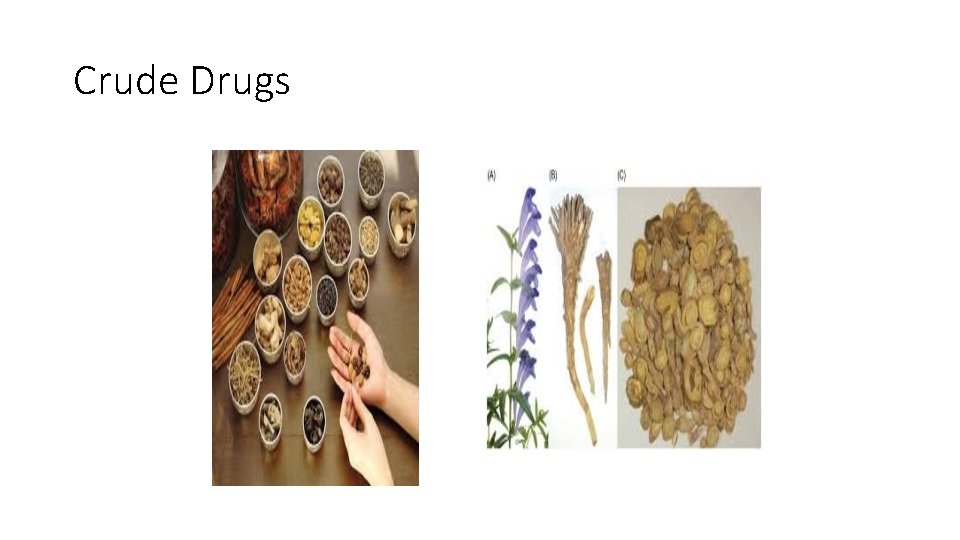 Crude Drugs 