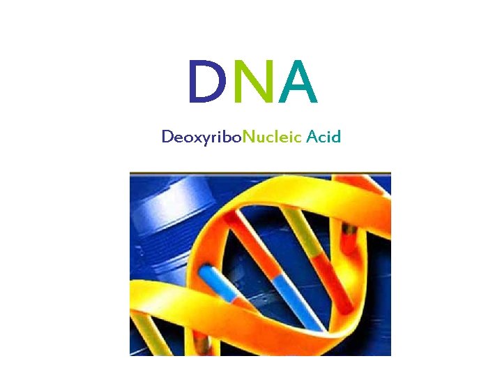 DNA Deoxyribo. Nucleic Acid 