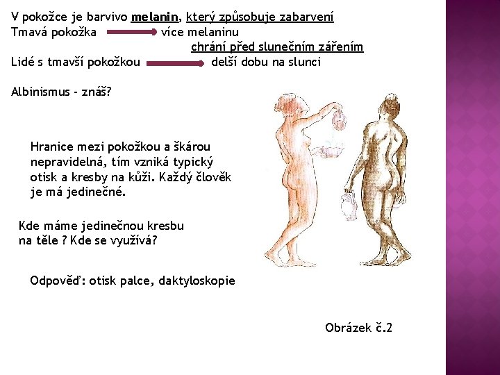 V pokožce je barvivo melanin, který způsobuje zabarvení Tmavá pokožka více melaninu chrání před