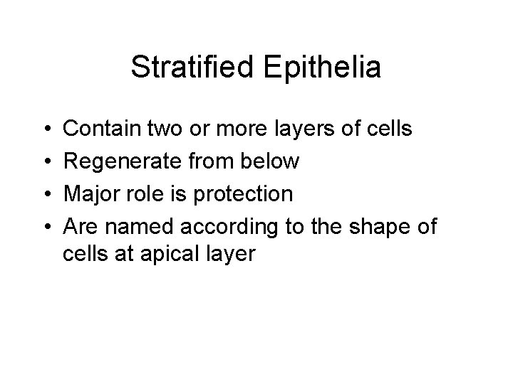 Stratified Epithelia • • Contain two or more layers of cells Regenerate from below