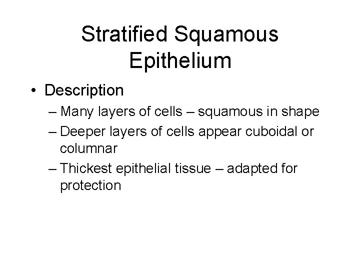 Stratified Squamous Epithelium • Description – Many layers of cells – squamous in shape