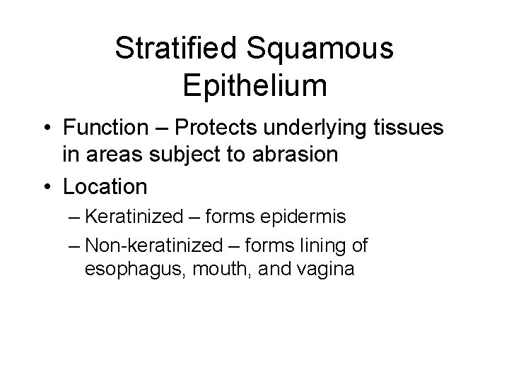 Stratified Squamous Epithelium • Function – Protects underlying tissues in areas subject to abrasion