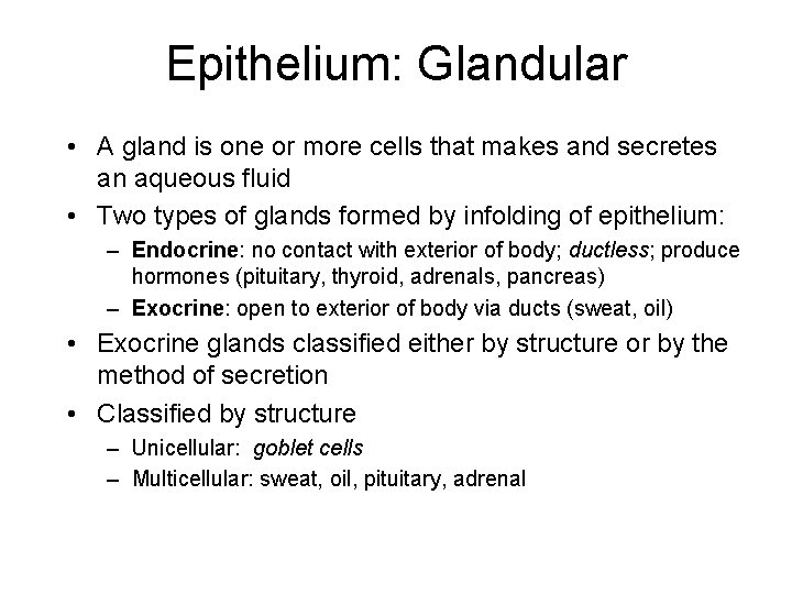 Epithelium: Glandular • A gland is one or more cells that makes and secretes