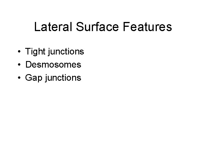 Lateral Surface Features • Tight junctions • Desmosomes • Gap junctions 