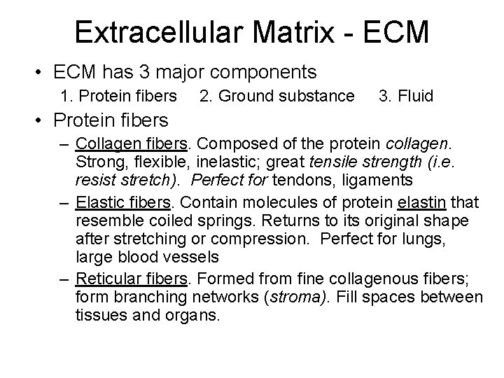 Extracellular Matrix - ECM • ECM has 3 major components 1. Protein fibers 2.