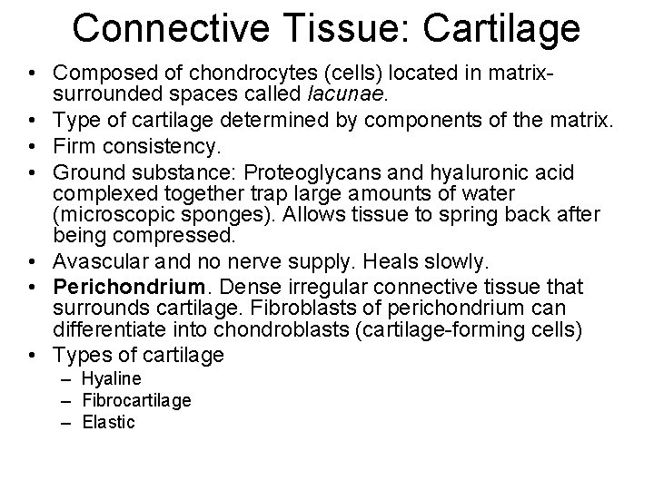 Connective Tissue: Cartilage • Composed of chondrocytes (cells) located in matrixsurrounded spaces called lacunae.