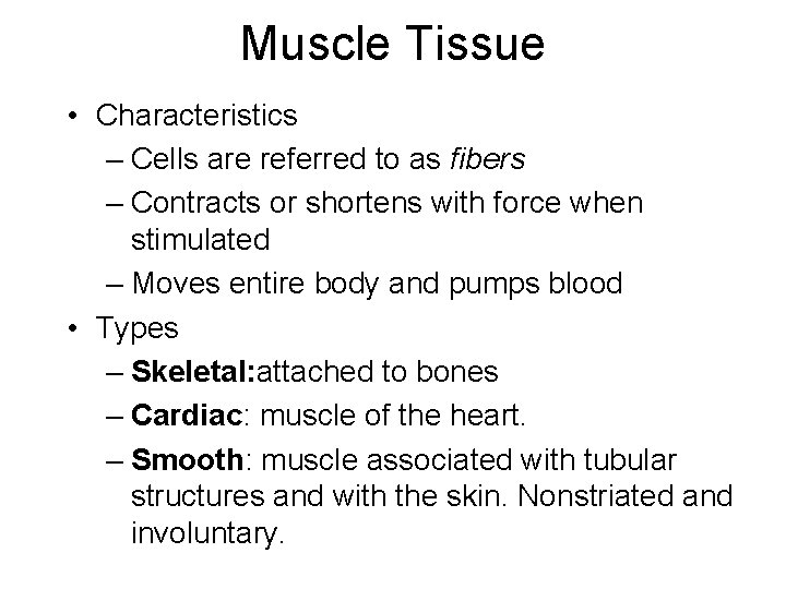 Muscle Tissue • Characteristics – Cells are referred to as fibers – Contracts or