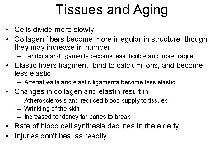 Tissues and Aging • Cells divide more slowly • Collagen fibers become more irregular