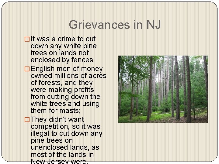 Grievances in NJ � It was a crime to cut down any white pine