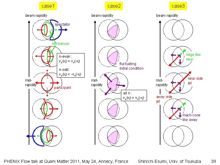 case 1 case 2 beam rapidity case 3 beam rapidity spectator net-baryon ridge like