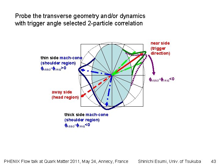 Probe the transverse geometry and/or dynamics with trigger angle selected 2 -particle correlation thin