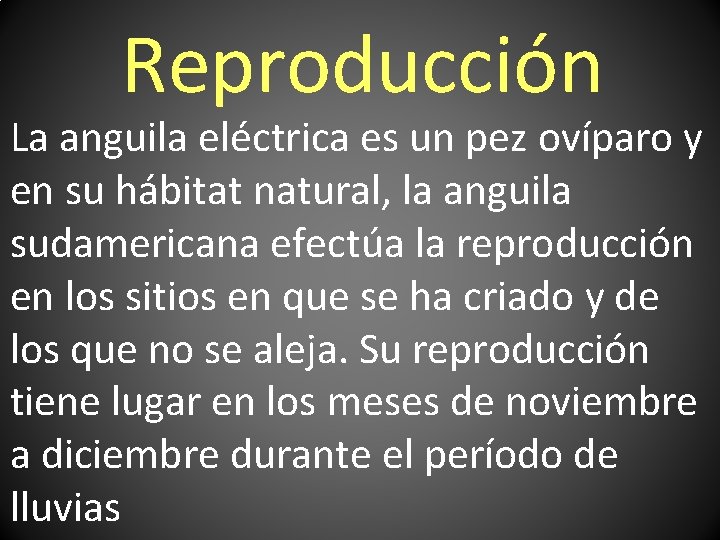 Reproducción La anguila eléctrica es un pez ovíparo y en su hábitat natural, la