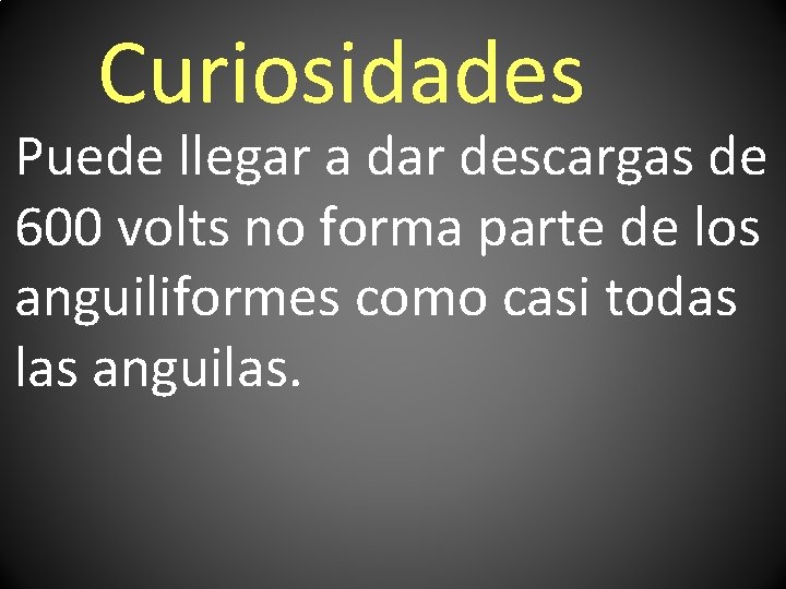 Curiosidades Puede llegar a dar descargas de 600 volts no forma parte de los