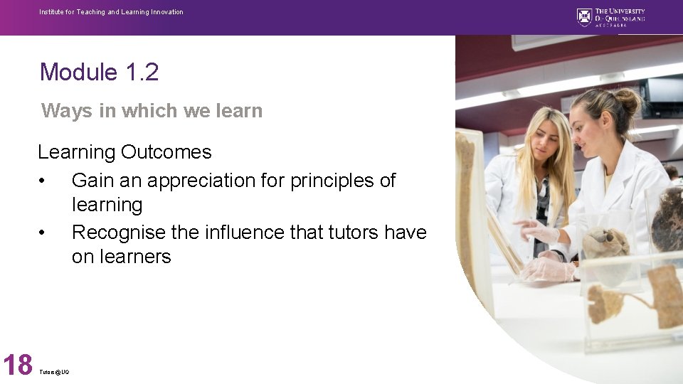 Institute for Teaching and Learning Innovation Module 1. 2 Ways in which we learn