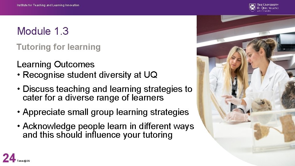 Institute for Teaching and Learning Innovation Module 1. 3 Tutoring for learning Learning Outcomes