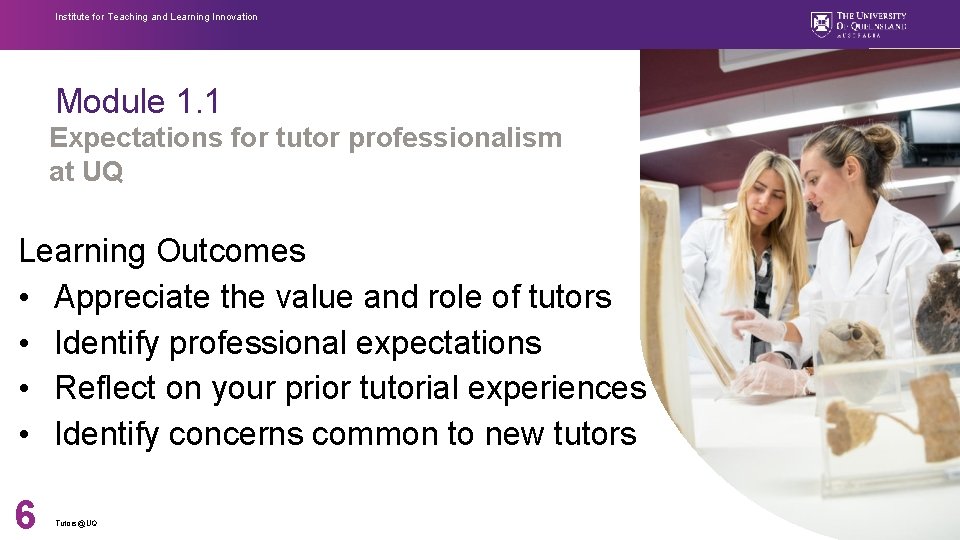 Institute for Teaching and Learning Innovation Module 1. 1 Expectations for tutor professionalism at