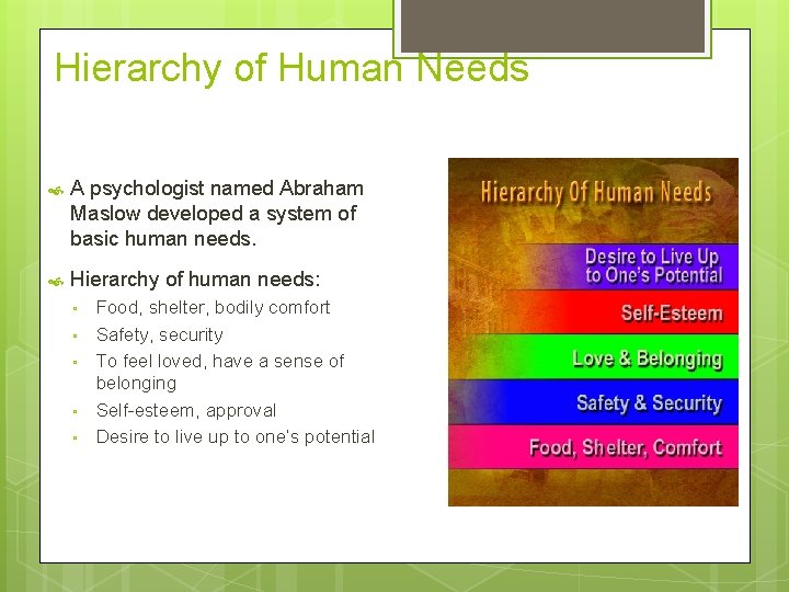 Hierarchy of Human Needs A psychologist named Abraham Maslow developed a system of basic