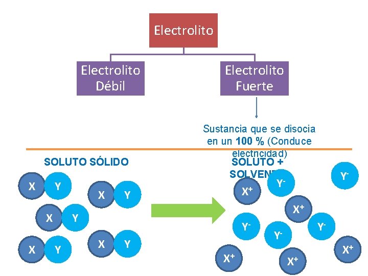 Electrolito Débil SOLUTO SÓLIDO X Y X X X Electrolito Fuerte Sustancia que se