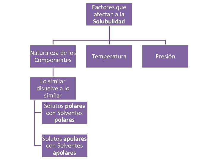 Factores que afectan a la Solubulidad Naturaleza de los Componentes Lo similar disuelve a