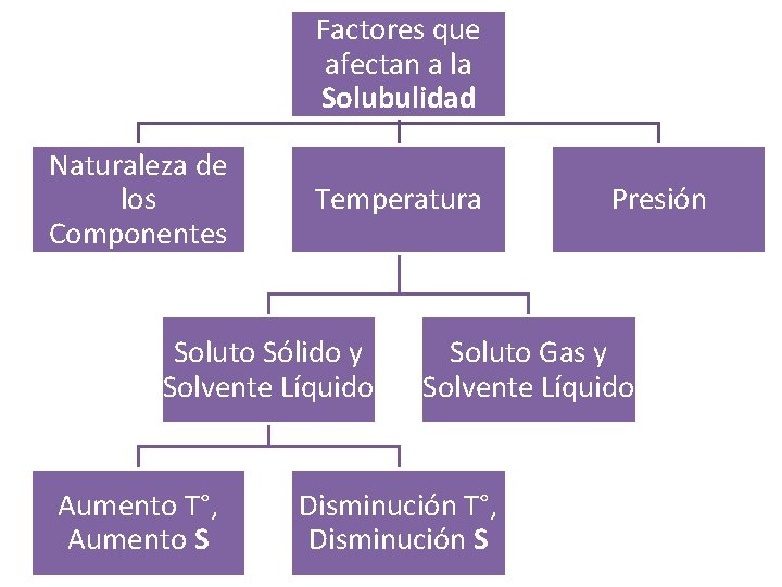 Factores que afectan a la Solubulidad Naturaleza de los Componentes Temperatura Soluto Sólido y