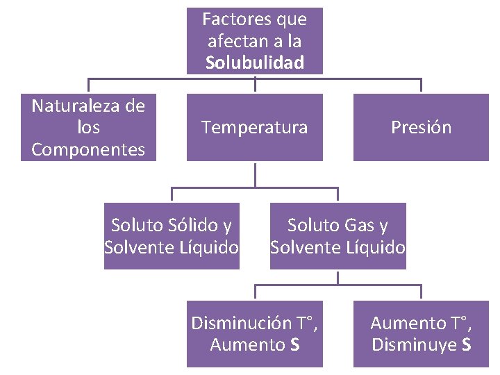 Factores que afectan a la Solubulidad Naturaleza de los Componentes Temperatura Soluto Sólido y