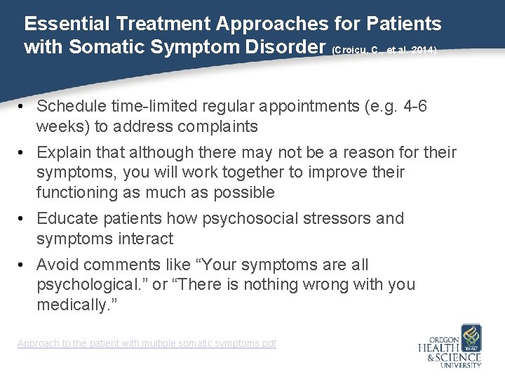 Essential Treatment Approaches for Patients with Somatic Symptom Disorder (Croicu, C. , et al.