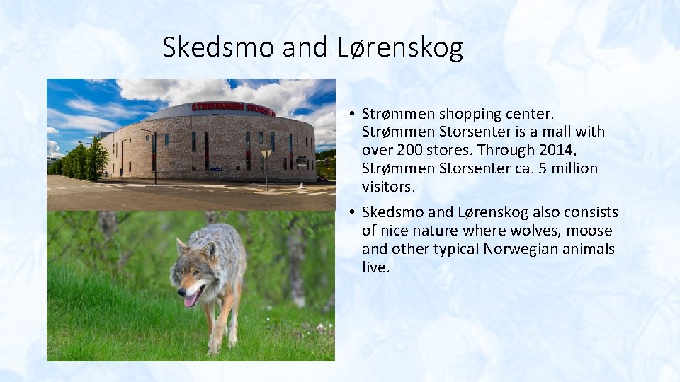 Skedsmo and Lørenskog • Strømmen shopping center. Strømmen Storsenter is a mall with over