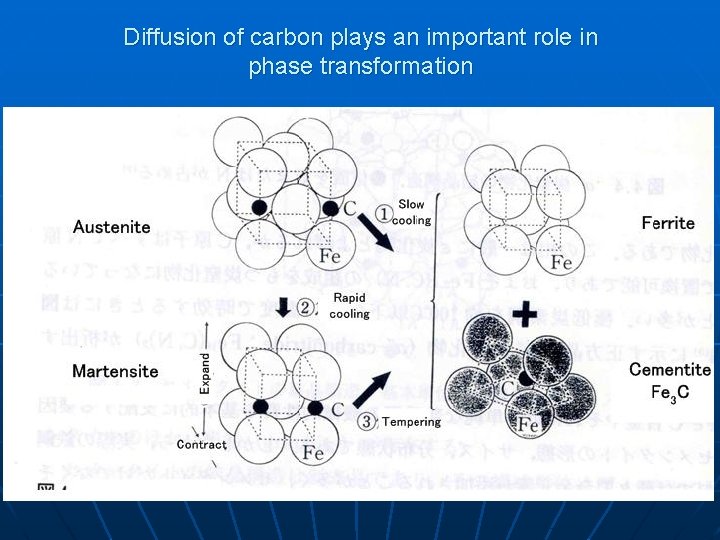 Diffusion of carbon plays an important role in phase transformation 