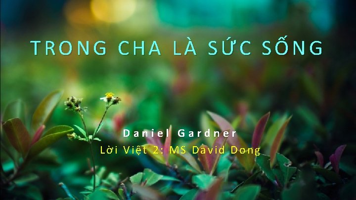 TRONG CHA LÀ SỨC SỐNG Daniel Gardner Lời Việt 2: MS David Dong 