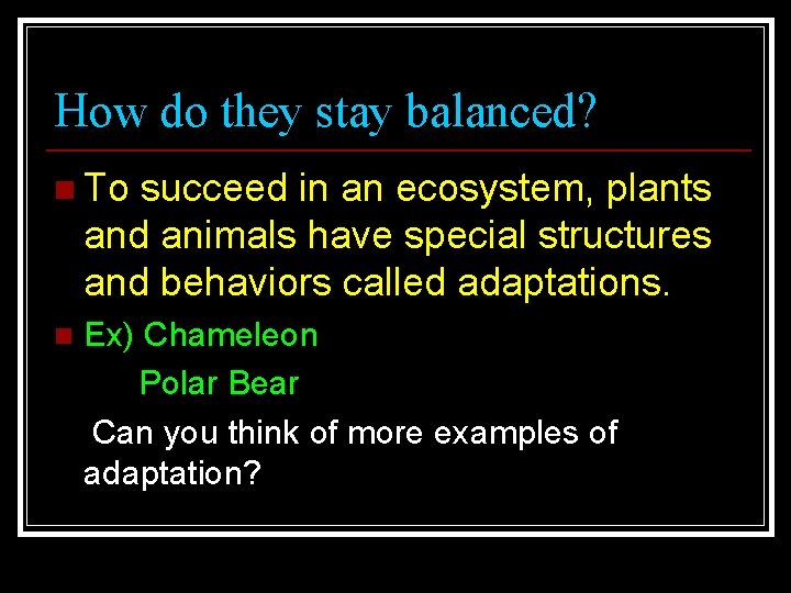 How do they stay balanced? n To succeed in an ecosystem, plants and animals