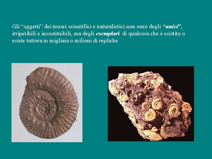 Gli “oggetti” dei musei scientifici e naturalistici non sono degli “unici”, irripetibili e insostituibili,