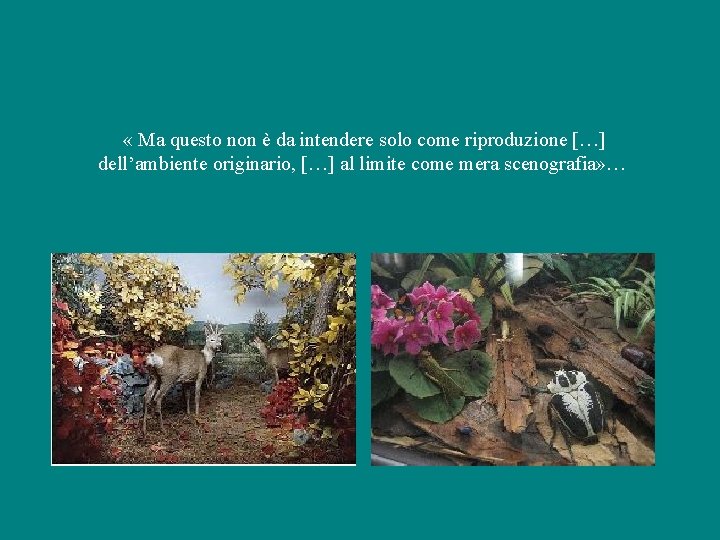  « Ma questo non è da intendere solo come riproduzione […] dell’ambiente originario,