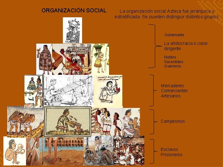 ORGANIZACIÓN SOCIAL La organización social Azteca fue jerárquica y estratificada. Se pueden distinguir distintos