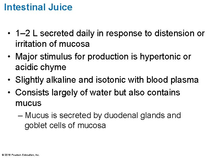 Intestinal Juice • 1– 2 L secreted daily in response to distension or irritation