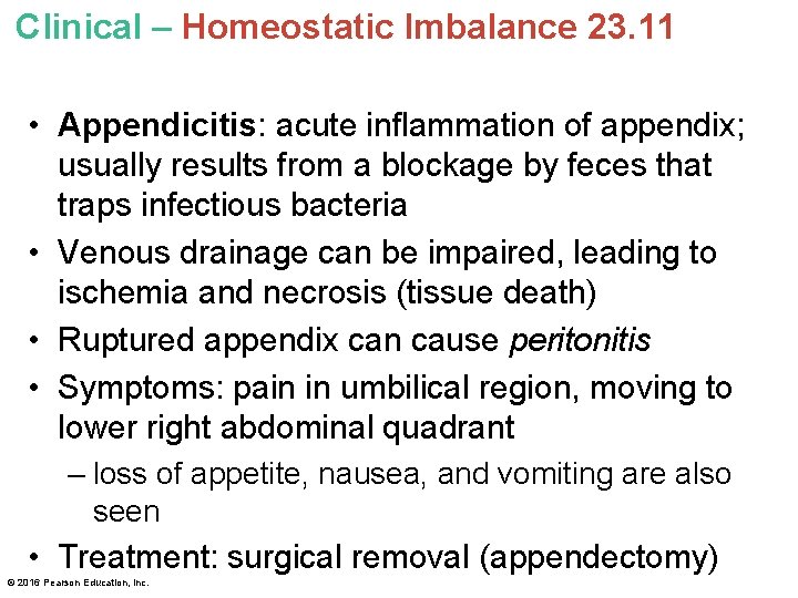 Clinical – Homeostatic Imbalance 23. 11 • Appendicitis: acute inflammation of appendix; usually results