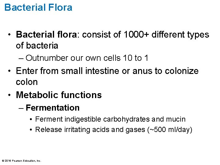 Bacterial Flora • Bacterial flora: consist of 1000+ different types of bacteria – Outnumber