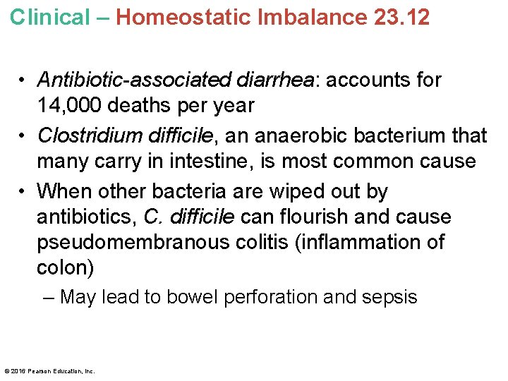 Clinical – Homeostatic Imbalance 23. 12 • Antibiotic-associated diarrhea: accounts for 14, 000 deaths