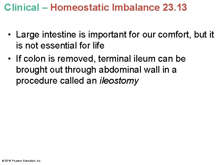 Clinical – Homeostatic Imbalance 23. 13 • Large intestine is important for our comfort,