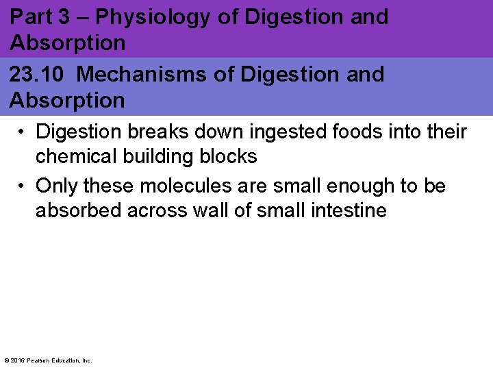 Part 3 – Physiology of Digestion and Absorption 23. 10 Mechanisms of Digestion and